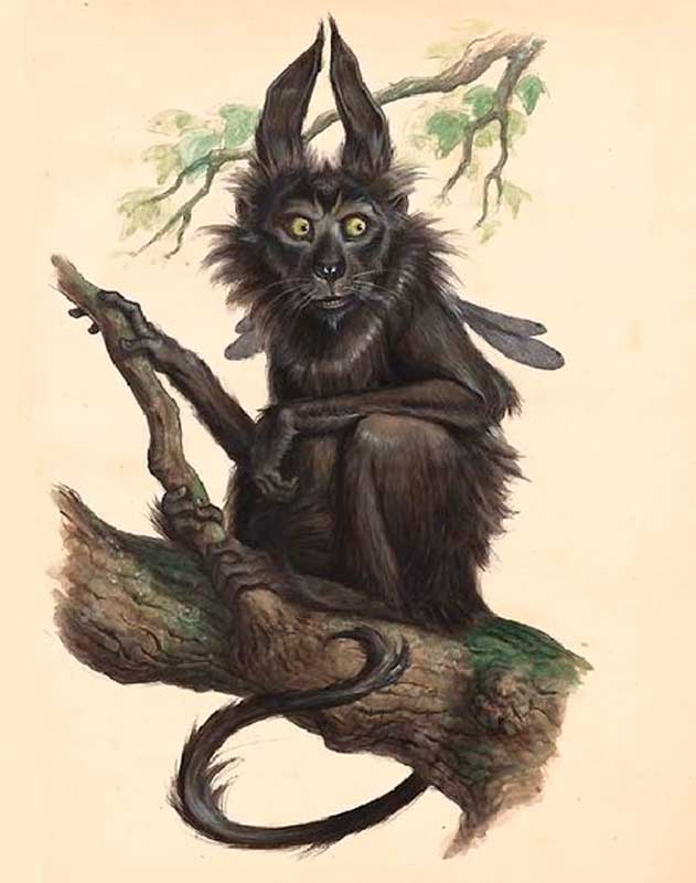 Коргоруши