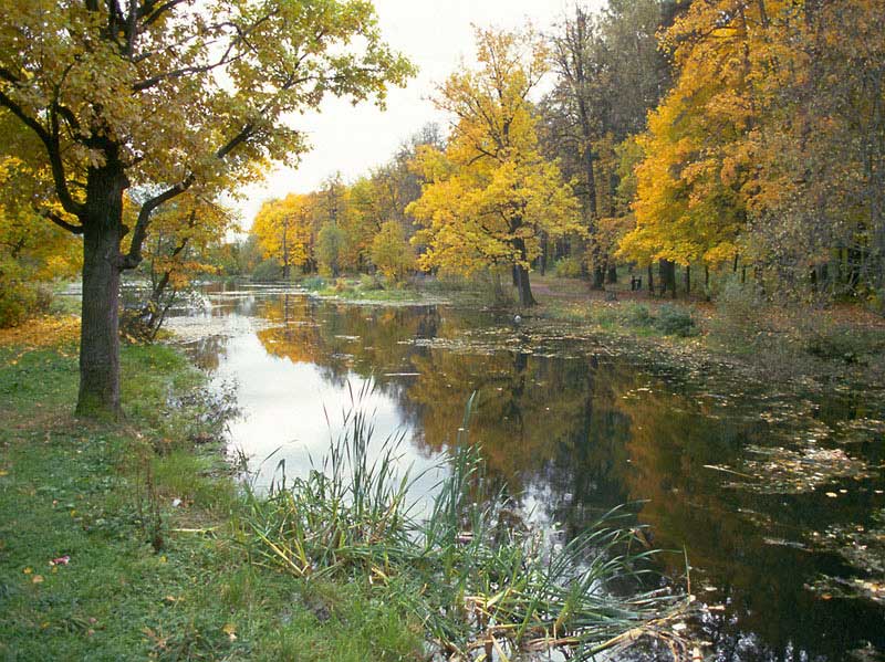 Пруд в парке усадьбы Знаменское-Губайлово