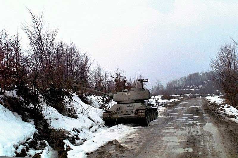 В Сербии в 1996 году В Сербии в 1996 году