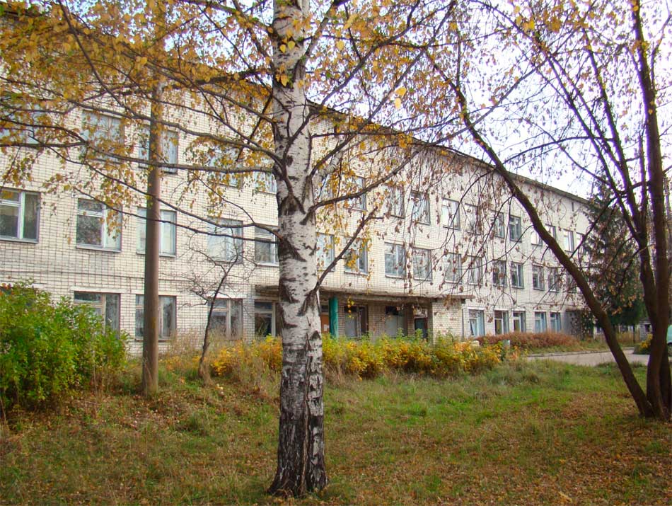 Нынешнее здание Шиморской больницы