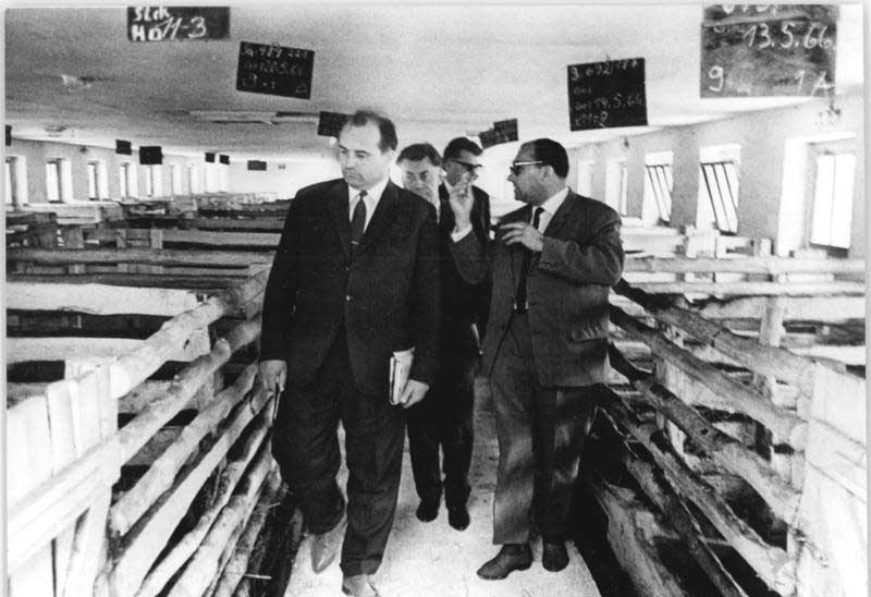 Горбачёв посещает свиноводческое хозяйство в ГДР, 1966 год Горбачёв посещает свиноводческое хозяйство в ГДР, 1966 год