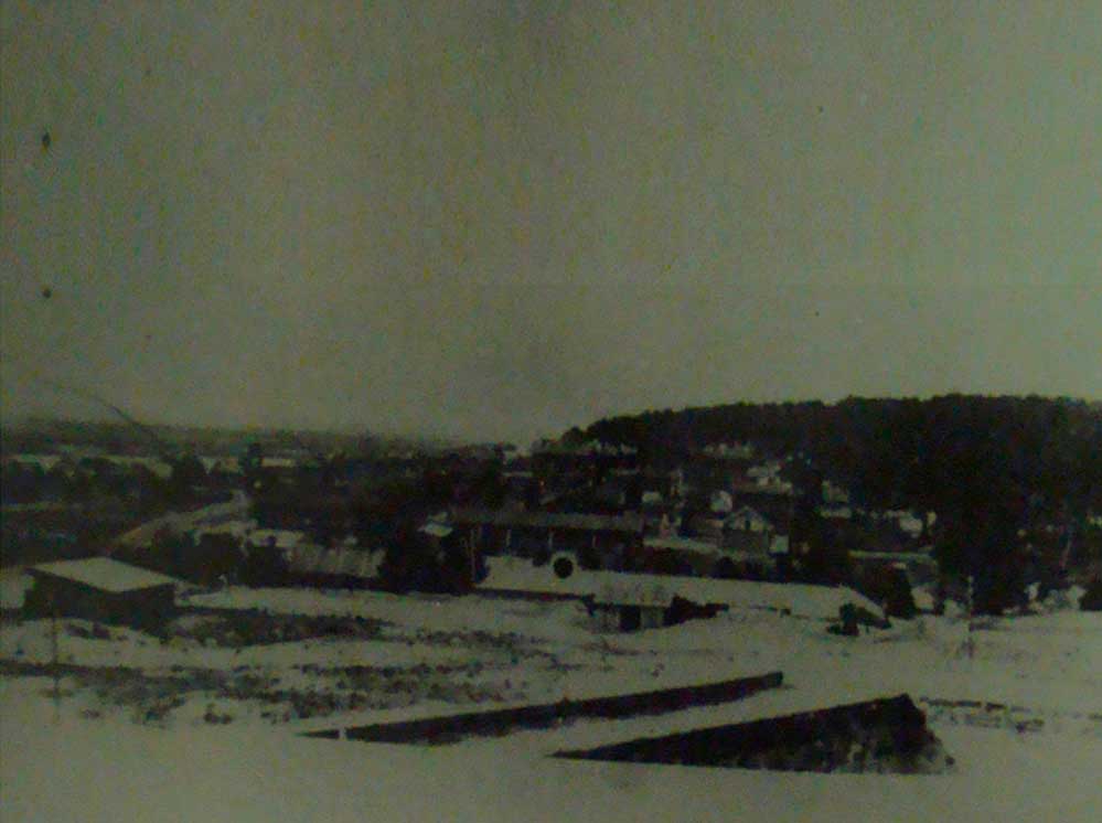 Панарама Шиморского