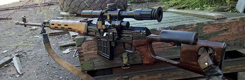 svd-cat-2
