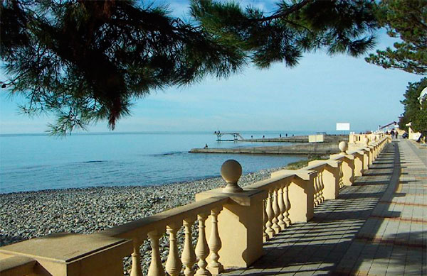 Реферат на тему Становление Сочи как курорта