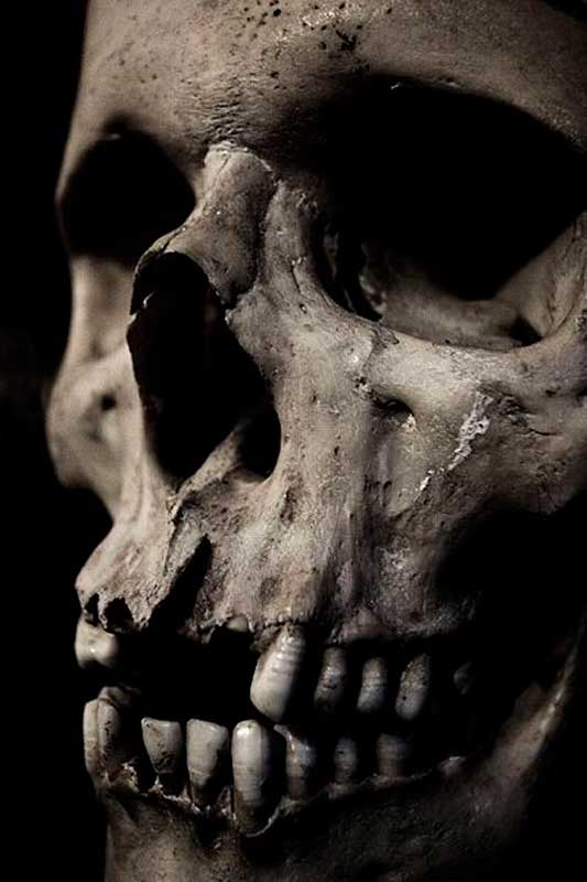 Человеческий череп часто используется в качестве символа смерти Человеческий череп часто используется в качестве символа смерти