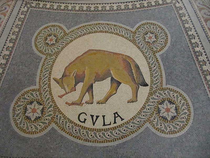 Gula